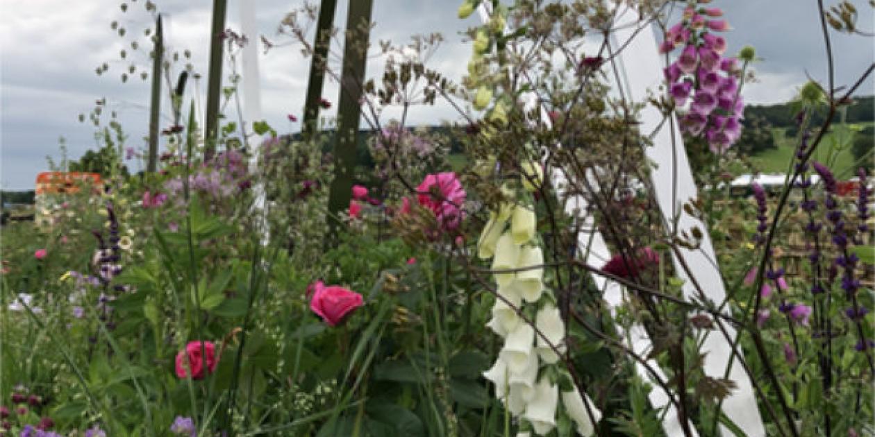 Winning Chatsworth garden by Rachel Bailey