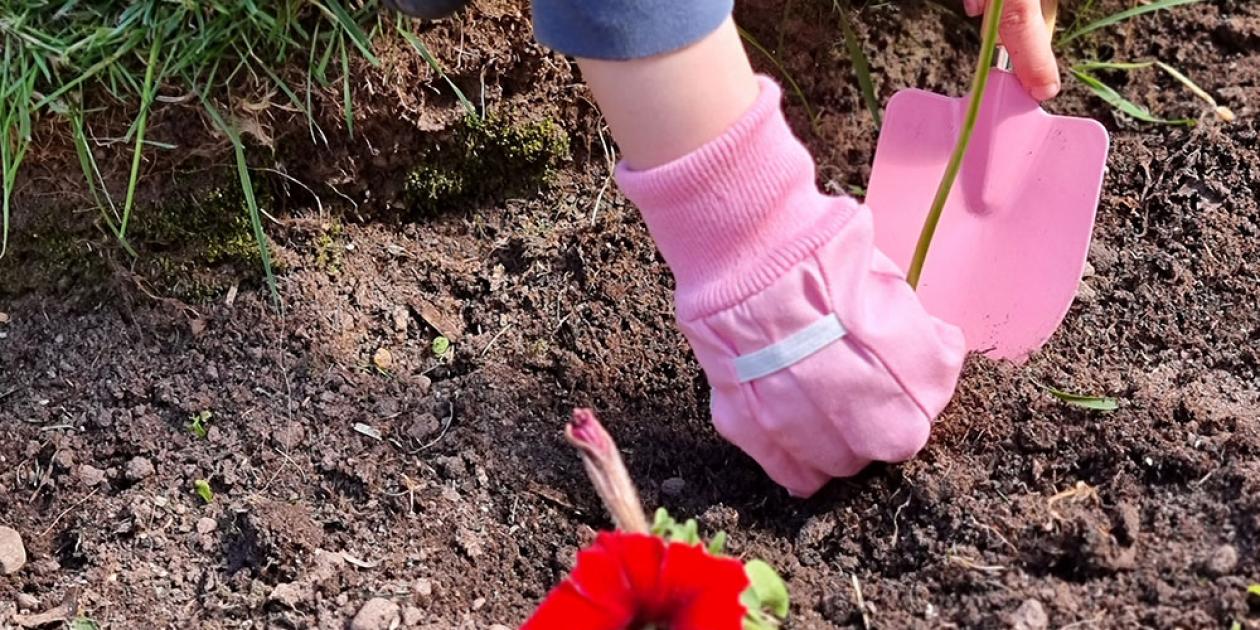 child's hands gardening 