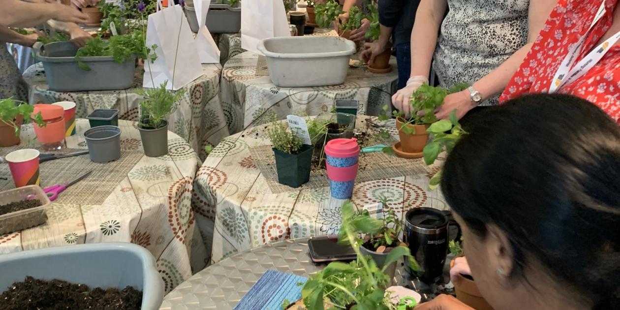therapeutic gardening training potting up herbs