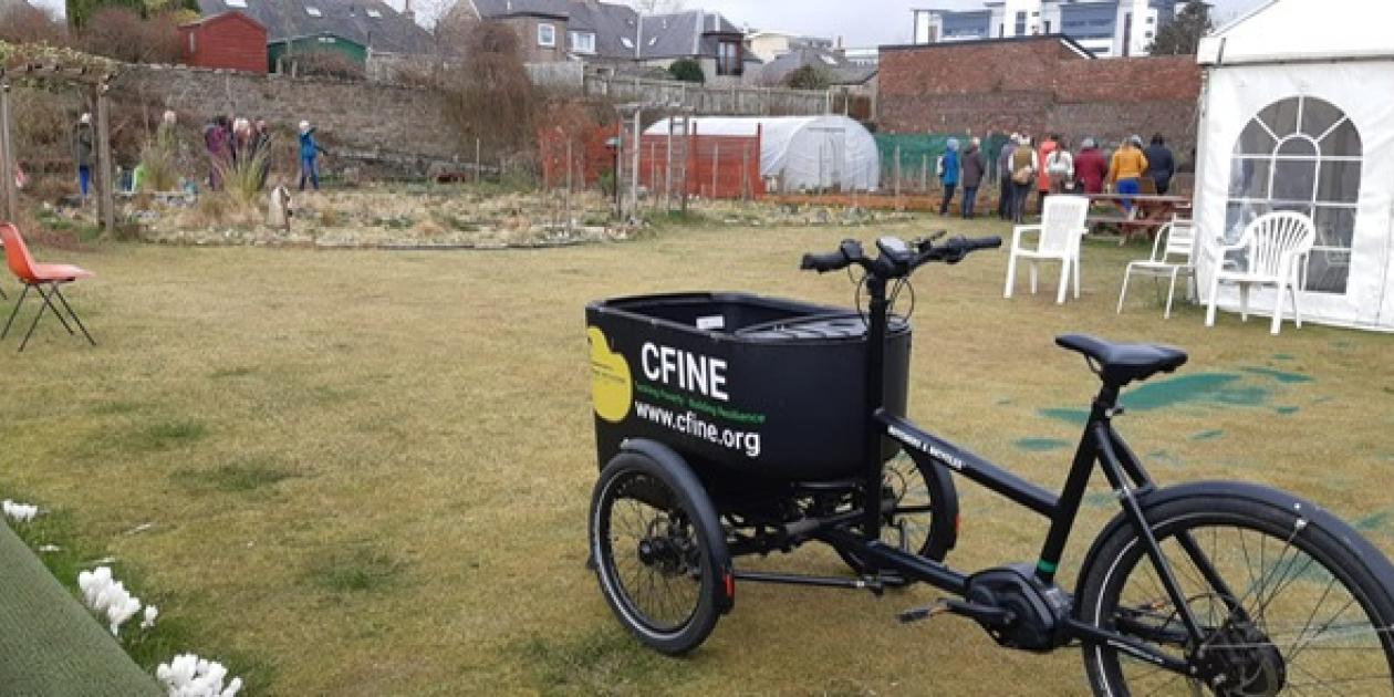 CFine