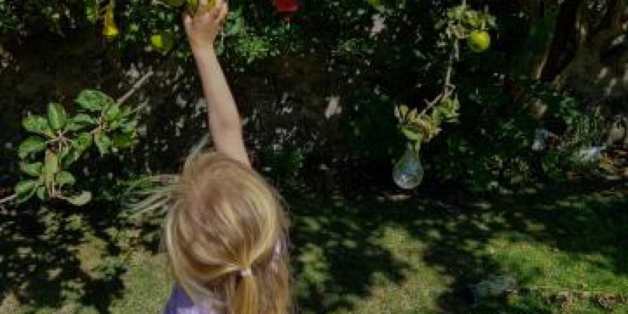Mike the Gardener Podcast