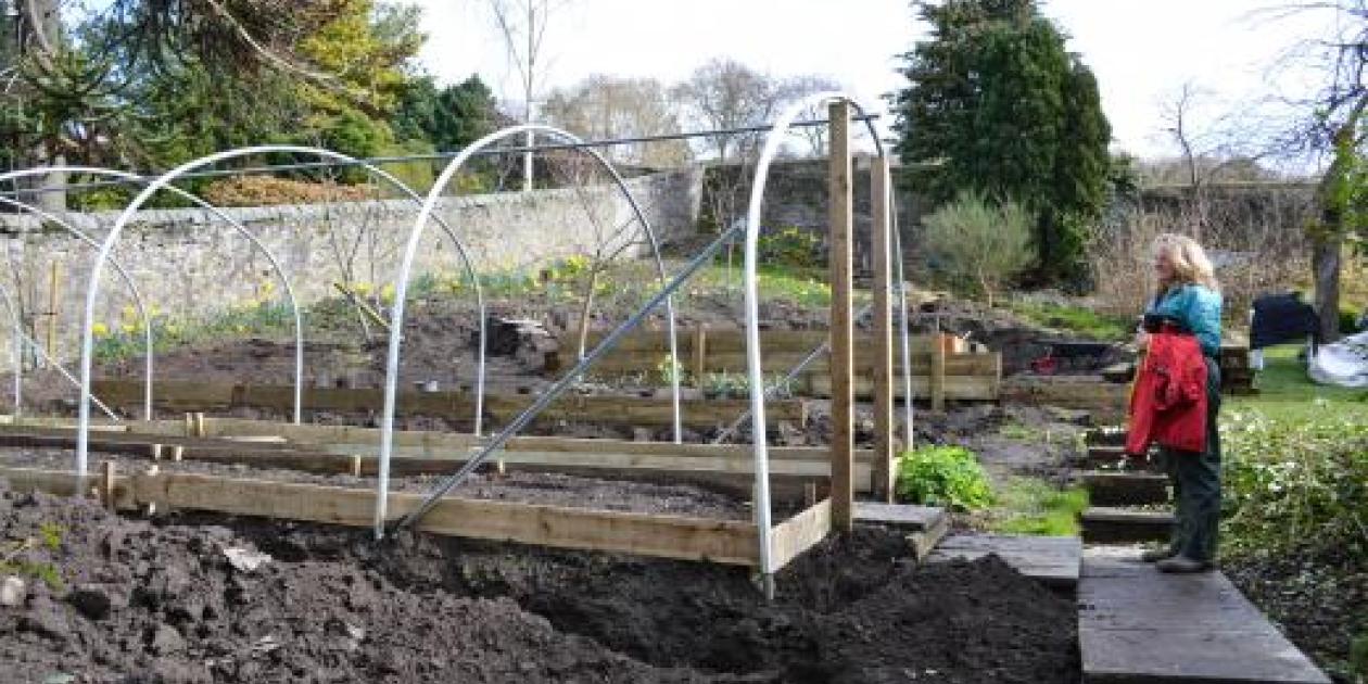 Lessons from the Garden