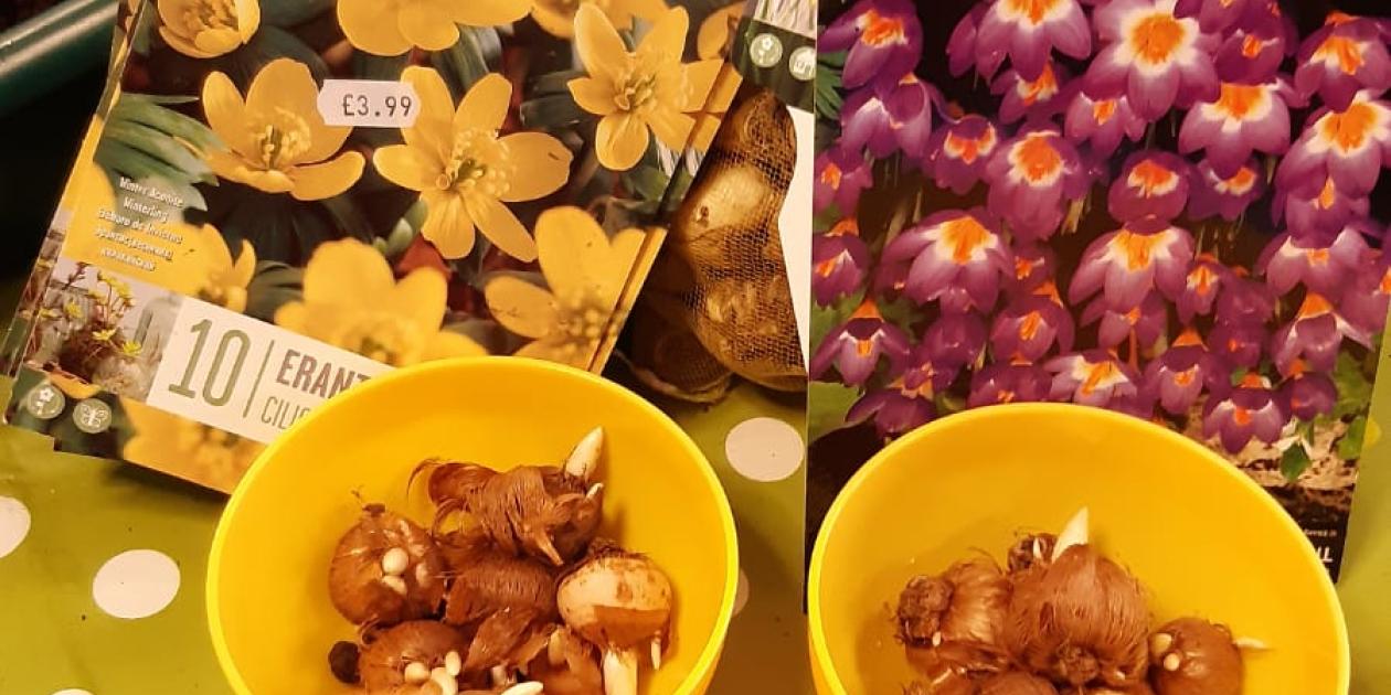 Ayshire Cancer Support 