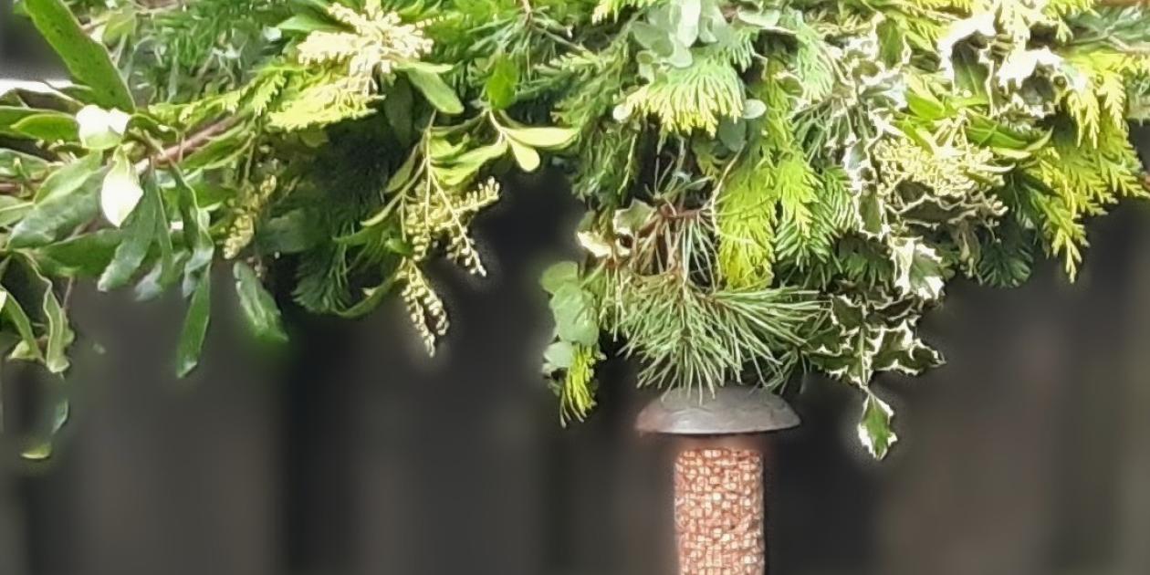 green foliage with birdfeeder hanging beneath