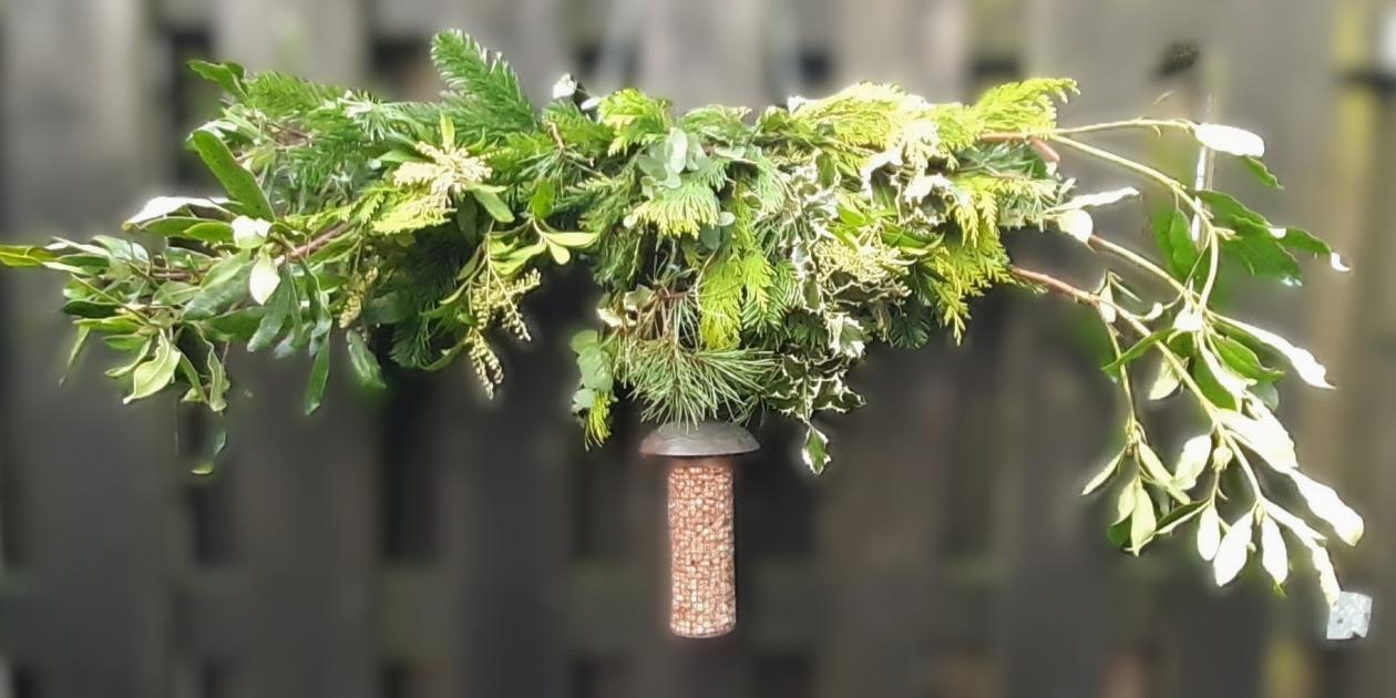green foliage top with bird feeder suspended underneath