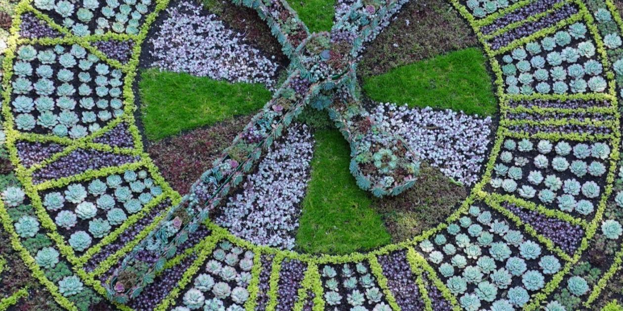 Floral Clock