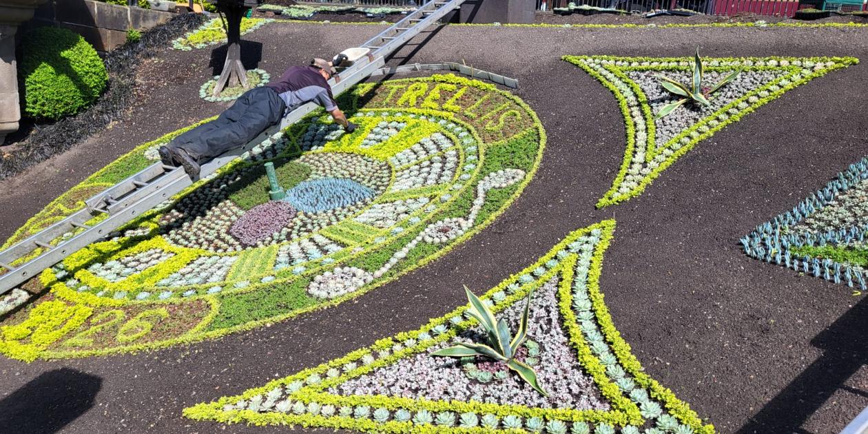 Trellis Floral Clock 2026