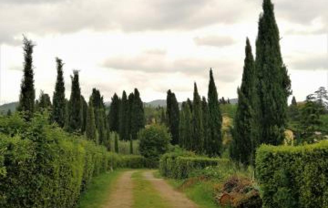 Gardening with the Grand Duchess of Tuscany A tale of how therapeutic horticulture is beginning to flourish in Italy
