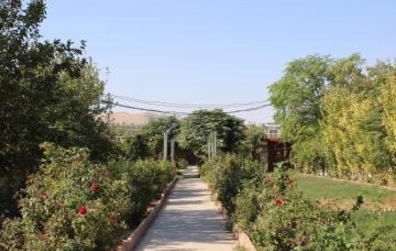 HT Across the Continents Approaches to improving the human condition