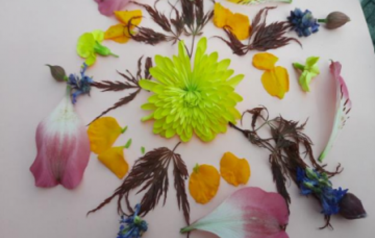 mindfulness_in_nature