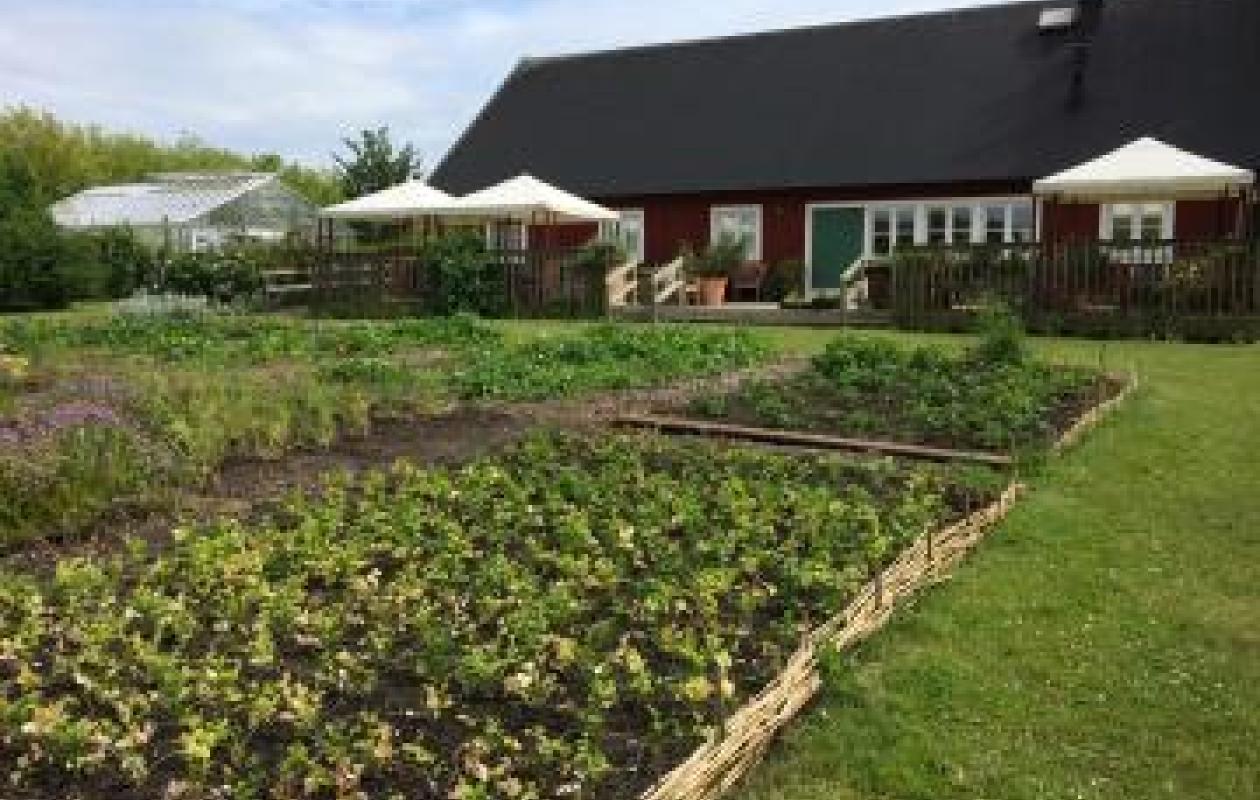 Research on horticulture therapy – experience from the living lab Alnarp Rehabilitation garden, Sweden