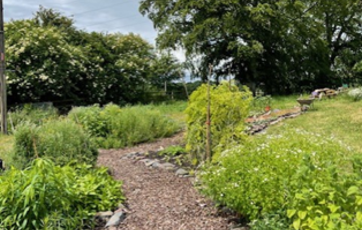 Birkhill Dye Garden