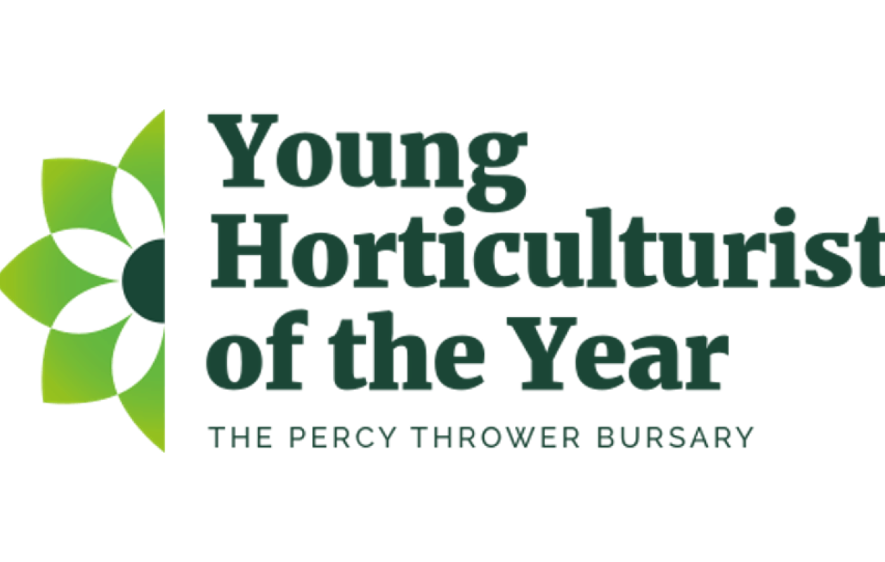 YHOY Finalists