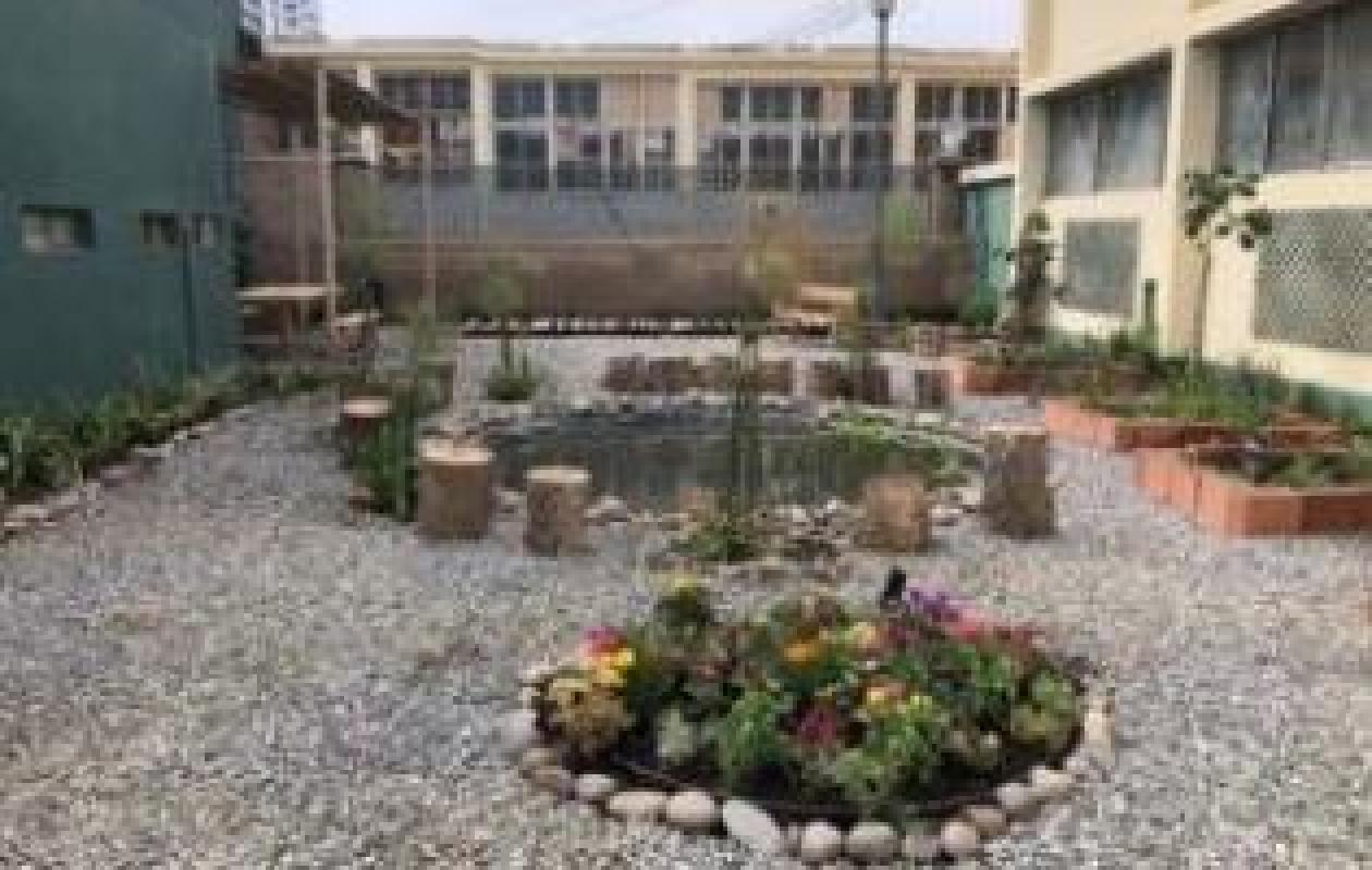 Peru Project