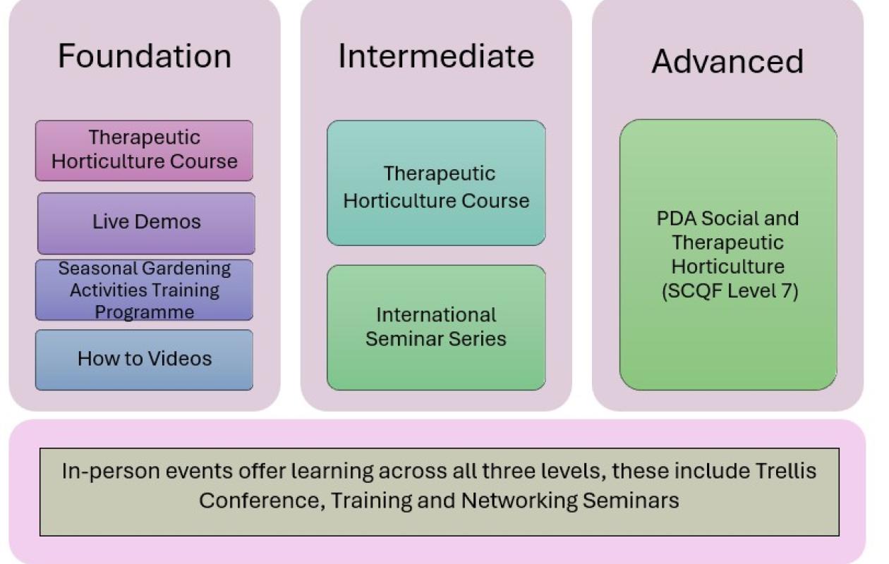 diagram showing Foundation, Intermediate , Advanced level training