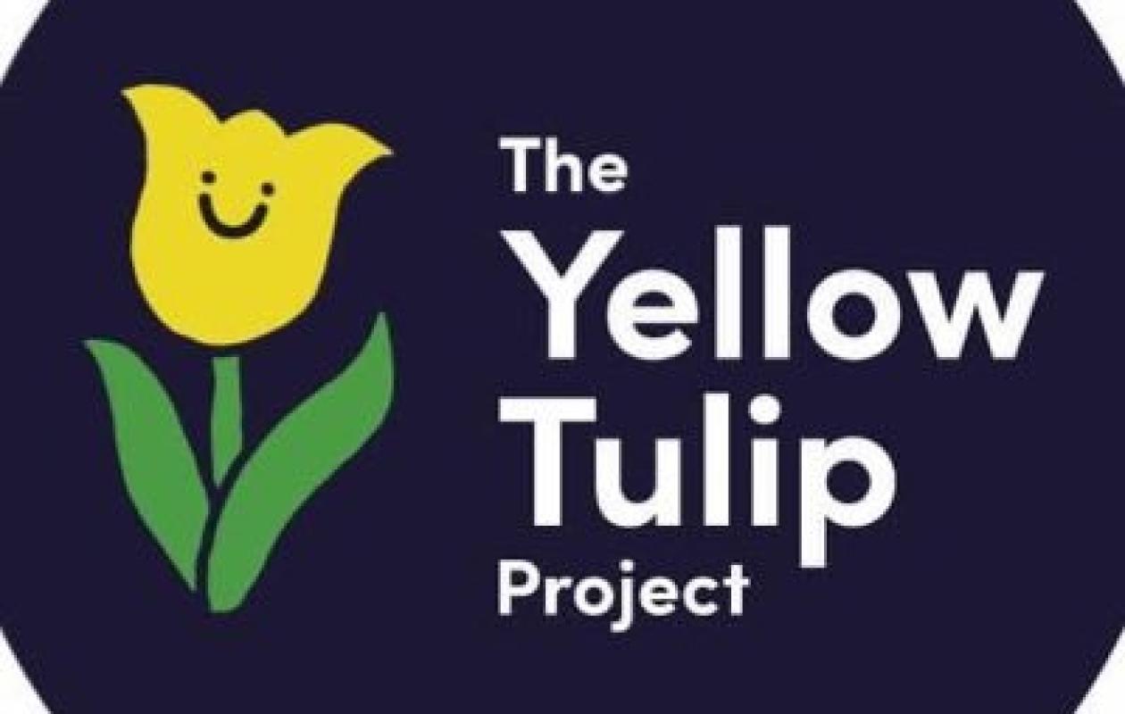 Yellow Tulip Project