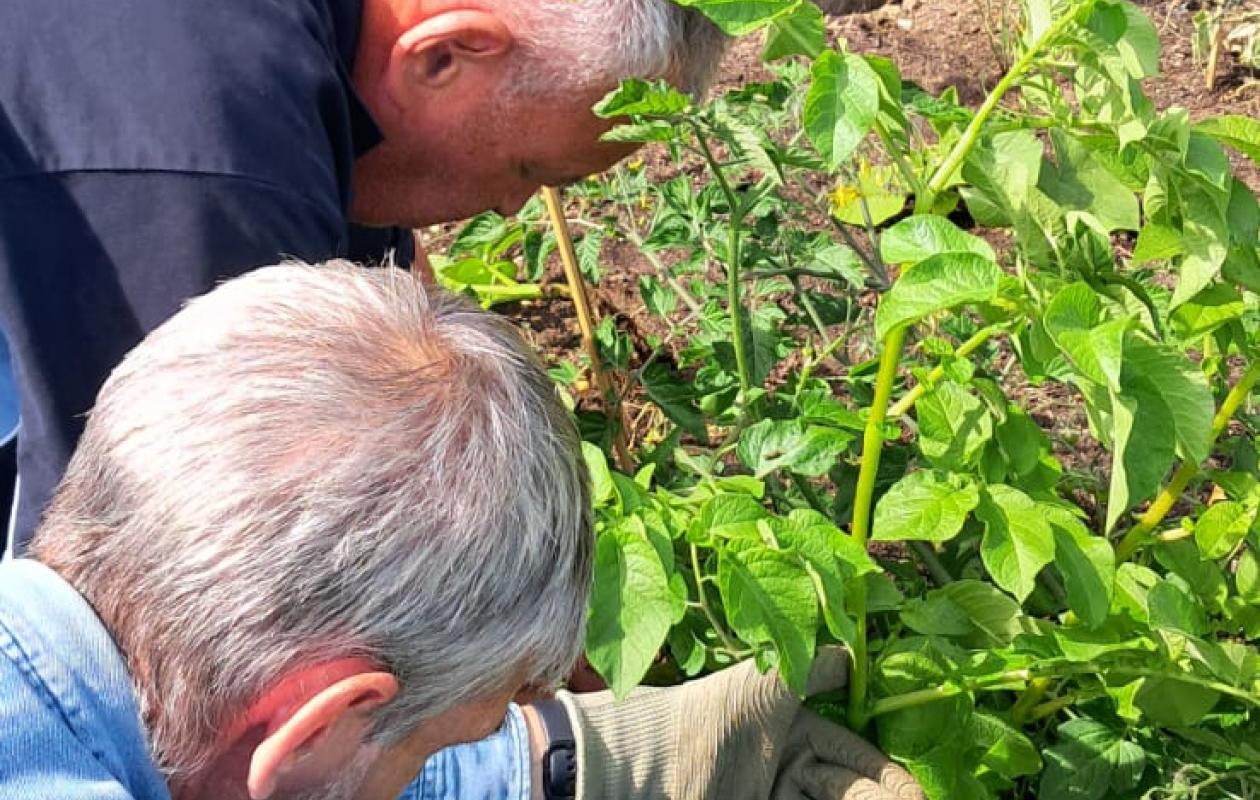 Skinnergate lifehouse Perth