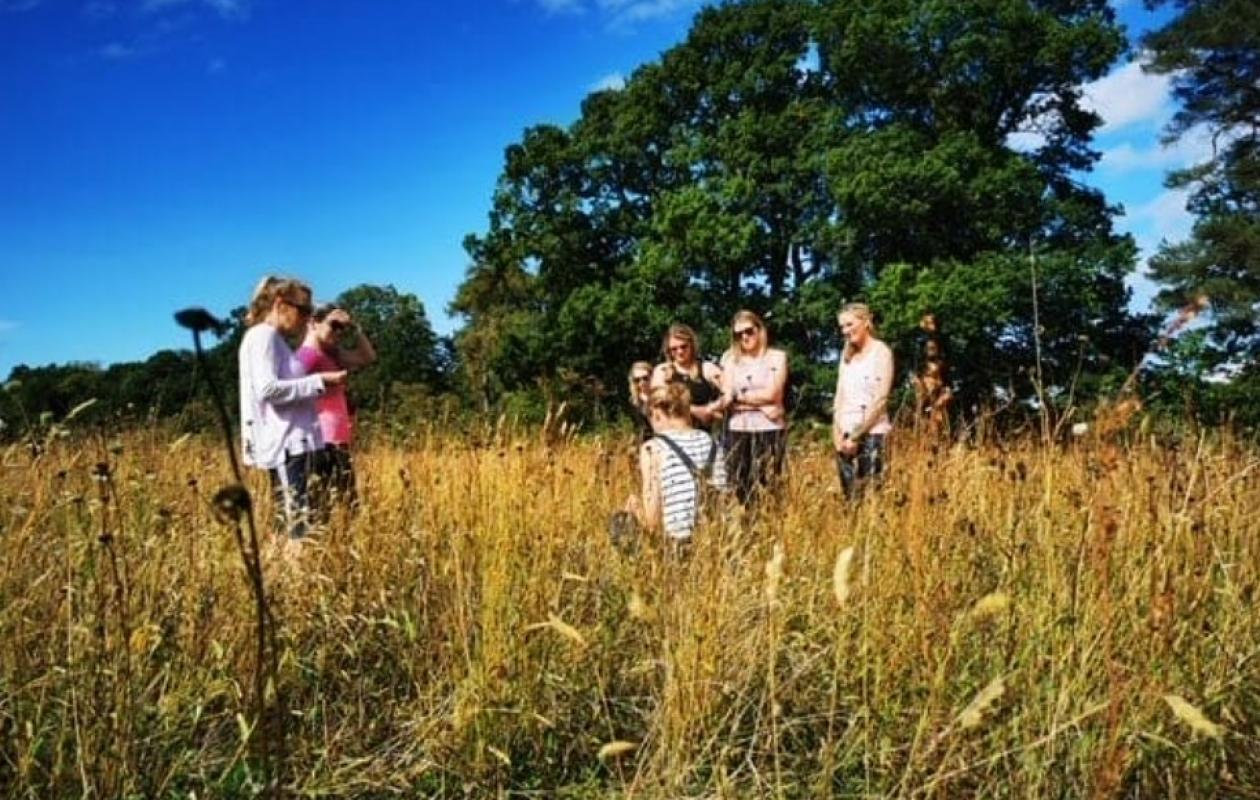 five people in a summer meadow under a blue sky