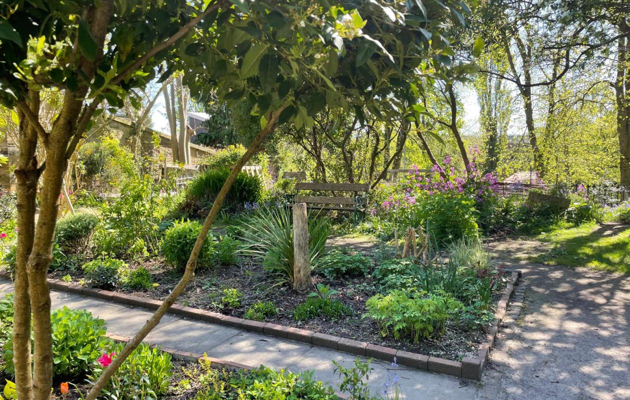 green trees and foliage in dappled shade of walled garden