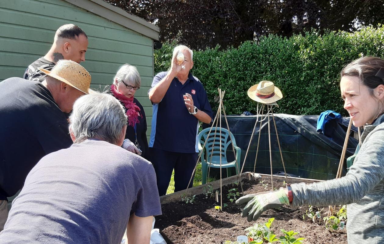 Group of men gardening around a raised bed in sunshine
