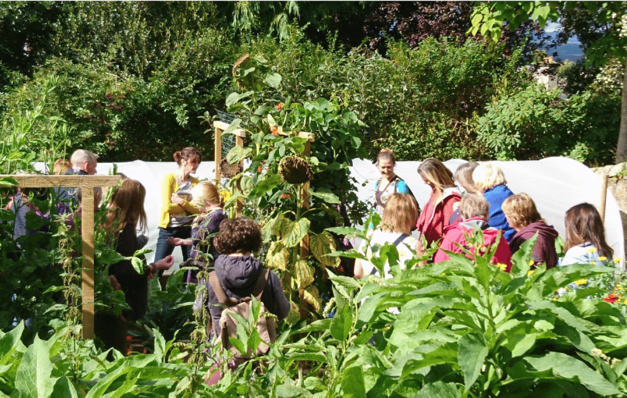 group in summer garden