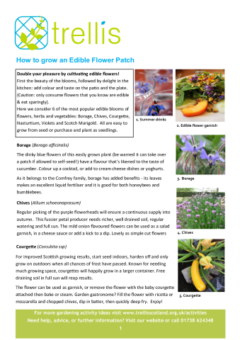edible-flower-patch.pdf
