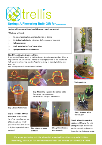 spring.-a-flowering-bulb-gift.pdf