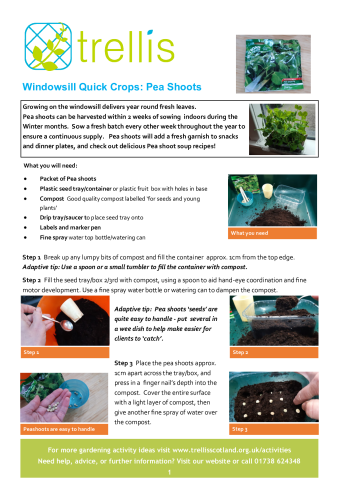 windowsill-crops.peashoots.pdf