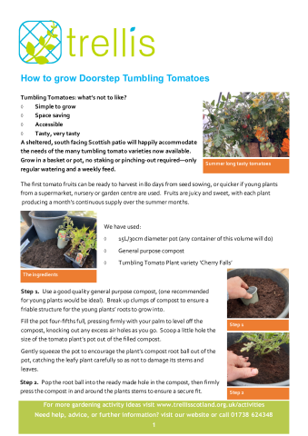 tumbling-tomatoes-edit-310523.pdf