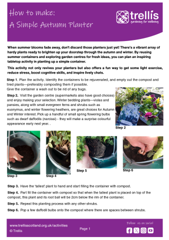 how-to-make_simple-autumn-planter.pdf