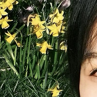 Zoey Wang