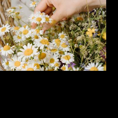 Herb Bath Bags & Wildflower Meadows