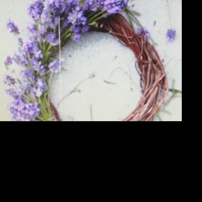 Lavender Care & Activities