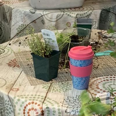 therapeutic gardening training potting up herbs