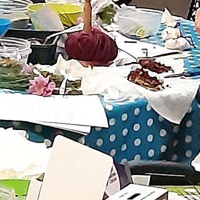  Glasgow Ovarian Cancer Support Group