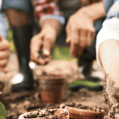 Family gardening