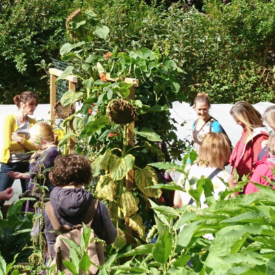 group in summer garden