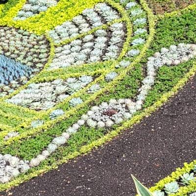 Trellis Floral Clock 2026
